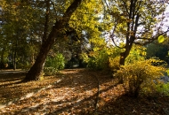 Есен в парка 05