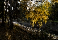Есен в парка 09