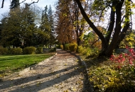 Есен в парка 03
