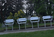 Белите столчета
