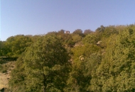 Село Баница-Серско